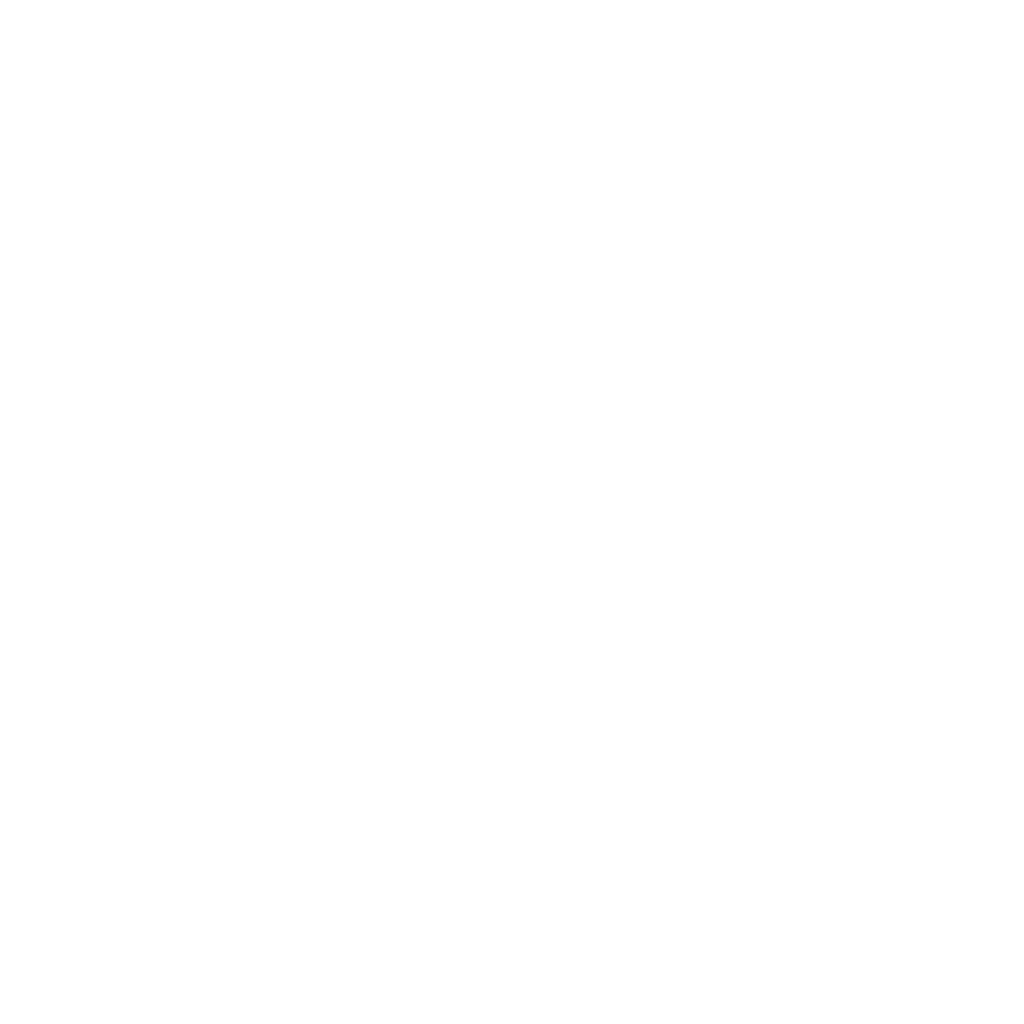Car Shoe Logo