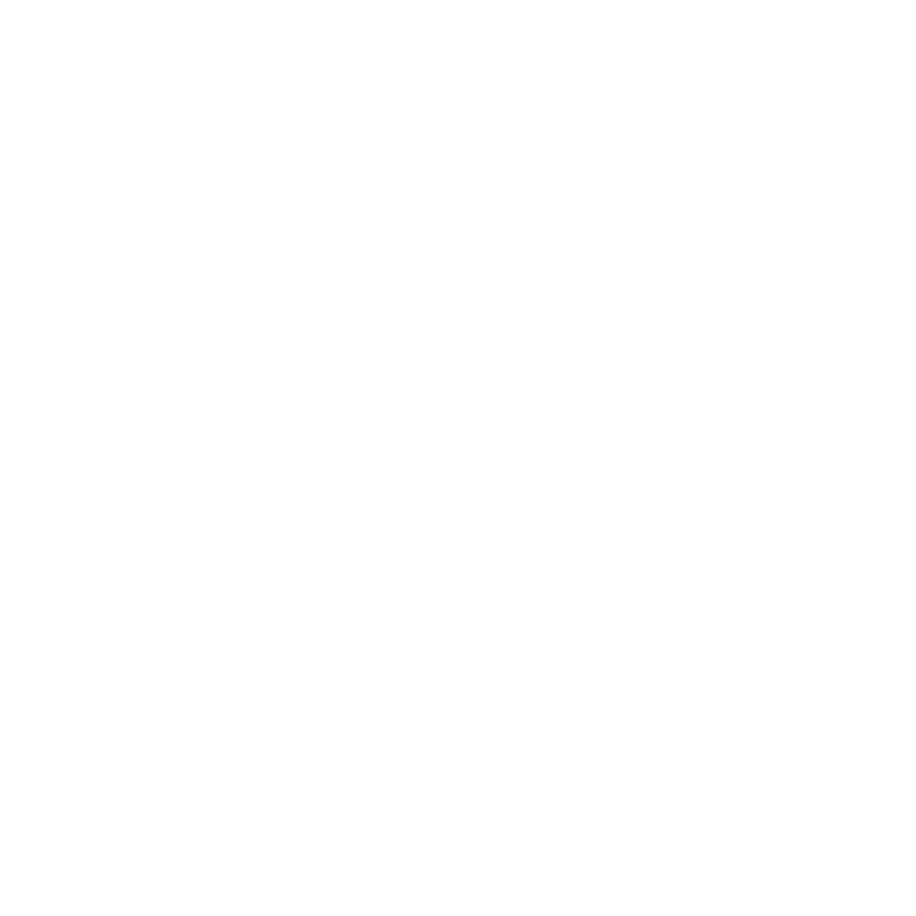 Logo Ferragamo