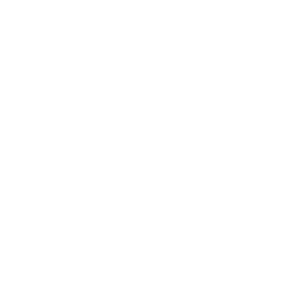 Logo Tudor